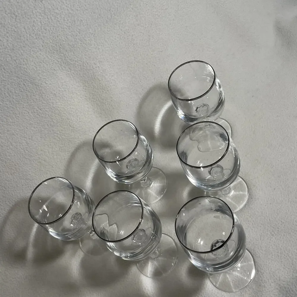 Melodia Platinum Banded Water Goblets by SCHOTT-ZWIESEL~~Set of 6